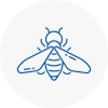 Bee Nest Removal Grangemouth