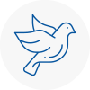 Bird Prevention Grangemouth