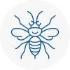 Grangemouth Hornet Nest Removals