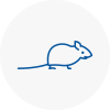 Mice Exterminators In Grangemouth