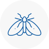 Moth Control Specialists In Grangemouth
