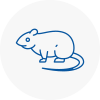 Rat Control Grangemouth