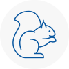 Grangemouth Rodent Removals